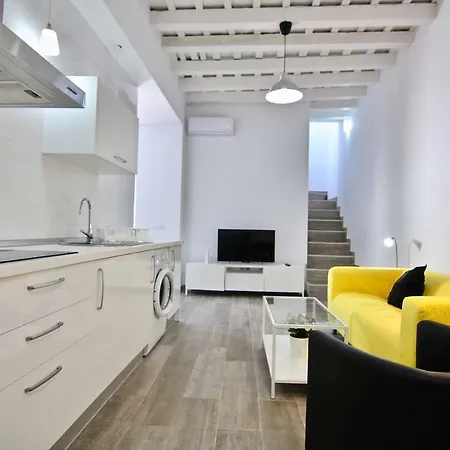 Duplex Terraza Del Falla Cádiz