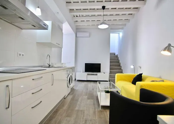 Duplex Terraza Del Falla Cadice