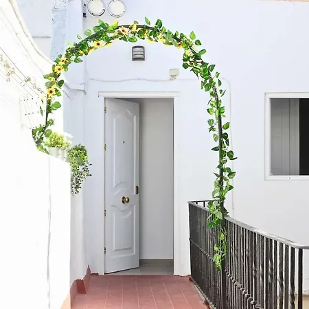 Duplex Terraza Del Falla * Cadiz